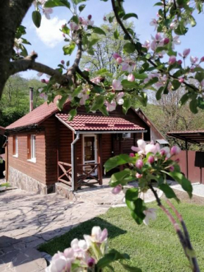 Зачаровані Карпати, Воловець